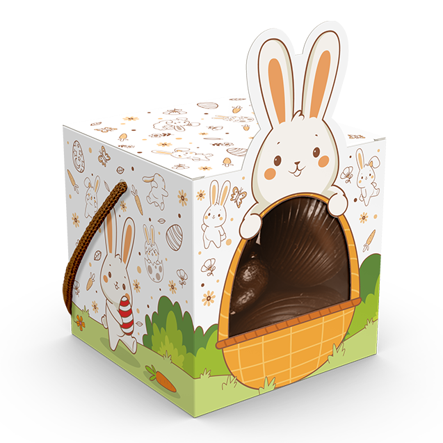 Caixa com Alça e Visor