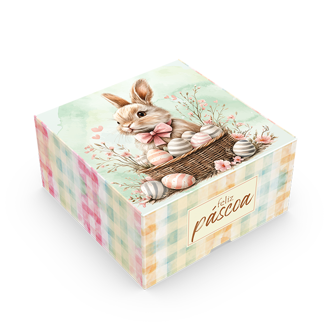 Caixa Mini Ovo Practice 50G/80g