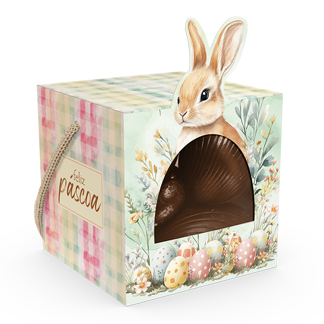 Caixa com Alça e Visor