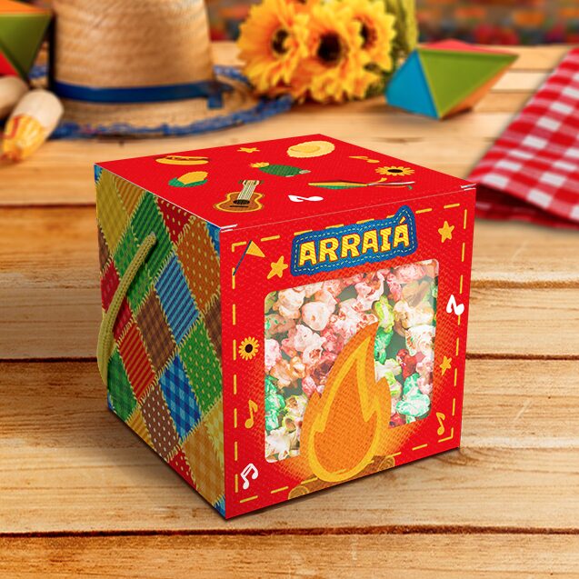 CAIXA COM VISOR E ALÇA