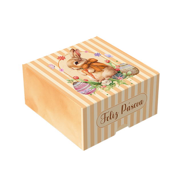 Caixa Practice Mini Ovo 50G/80G – Páscoa Encantada
